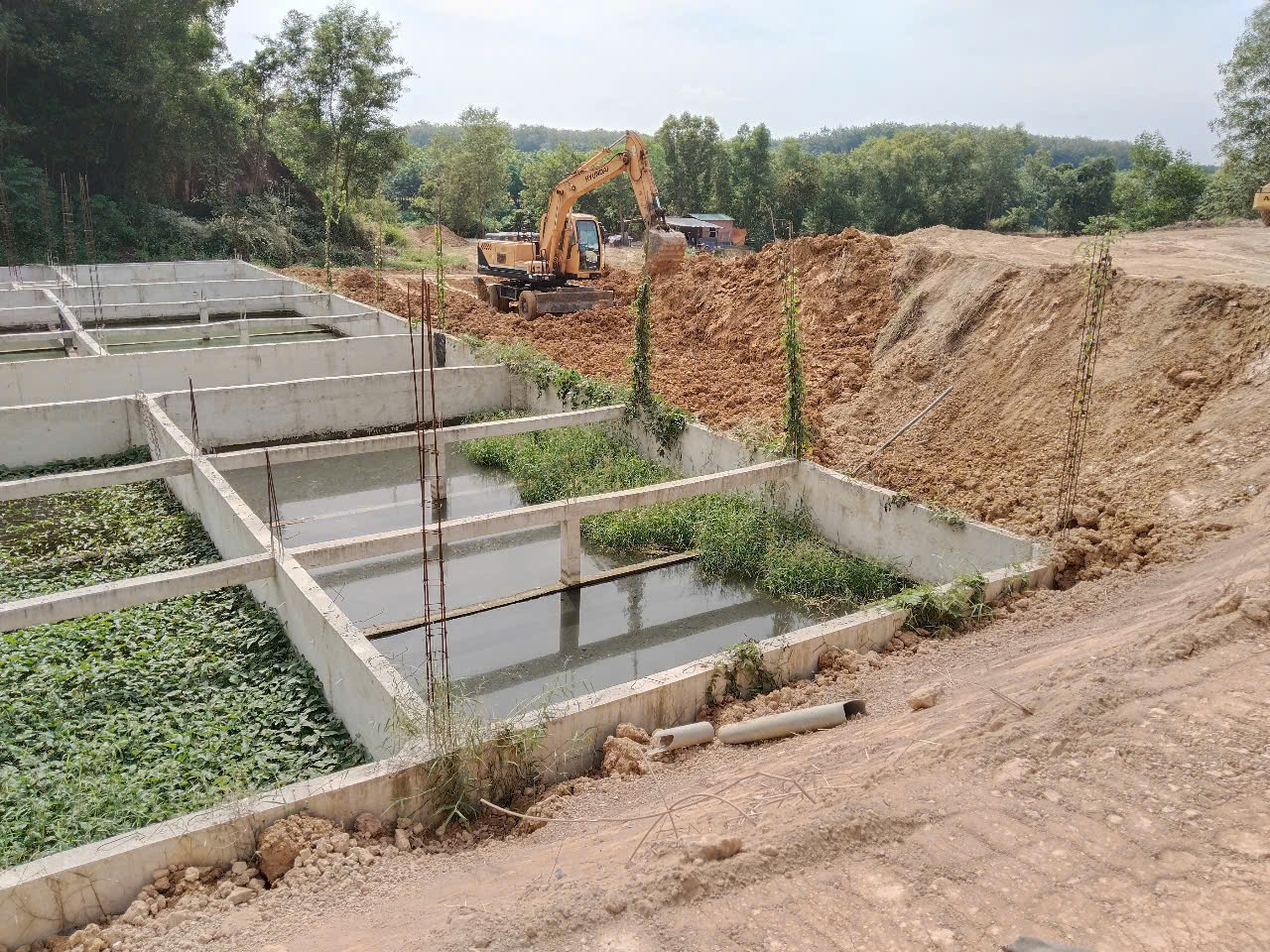 XD TRANG TRẠI - Ảnh 2